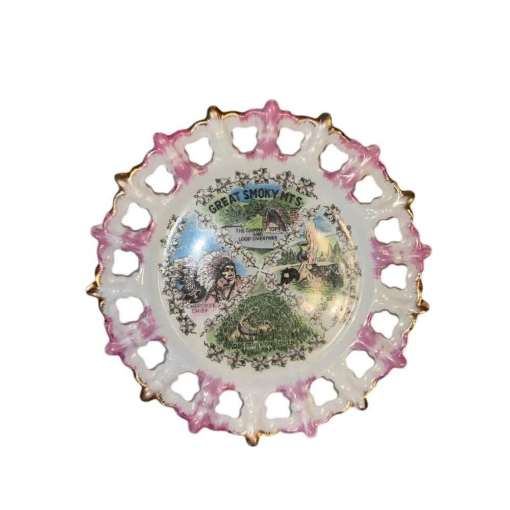 Great Smoky Mountains Vintage Porcelain Souvenir Plate Pink Reticulated Edge